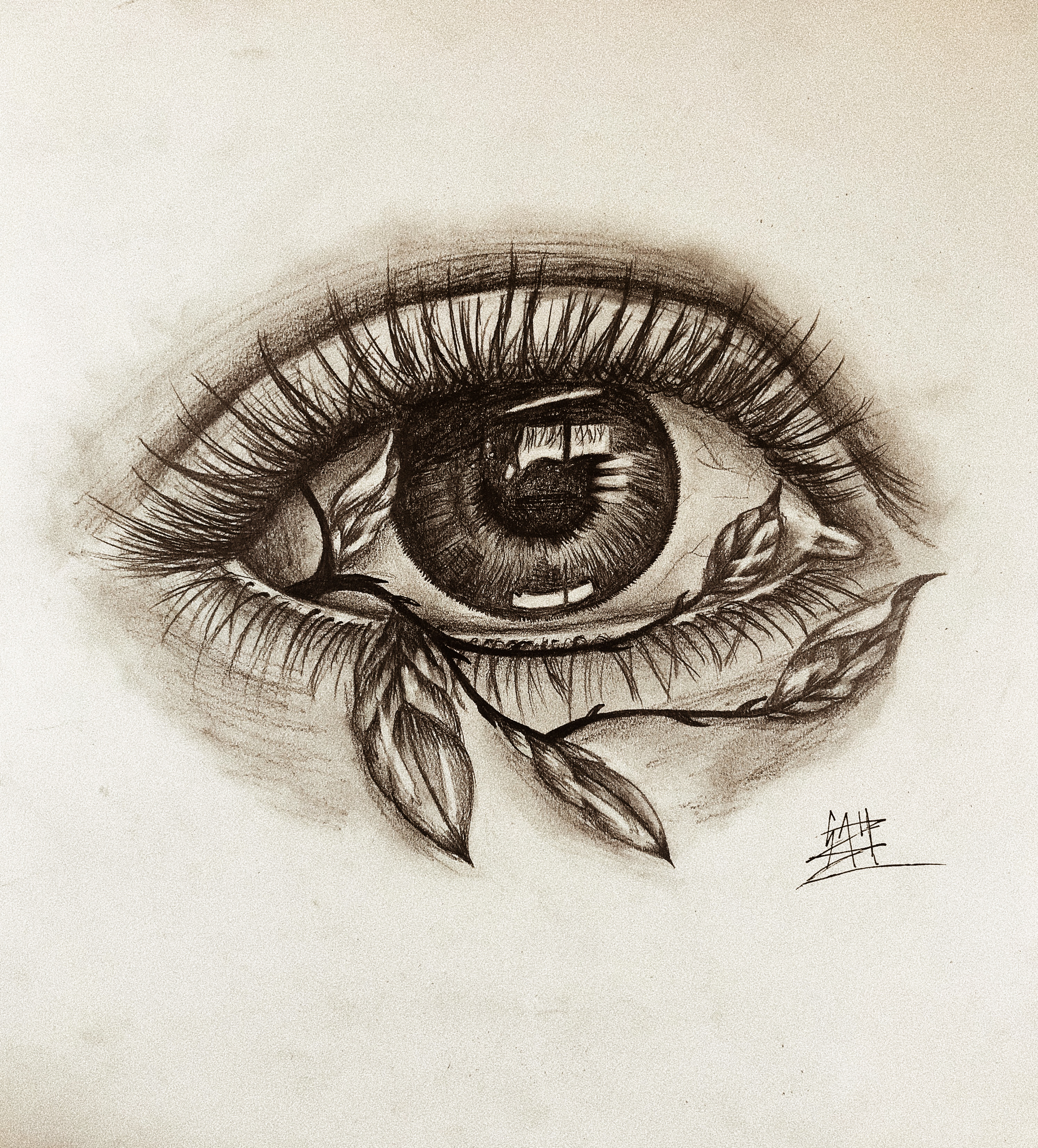 Sight